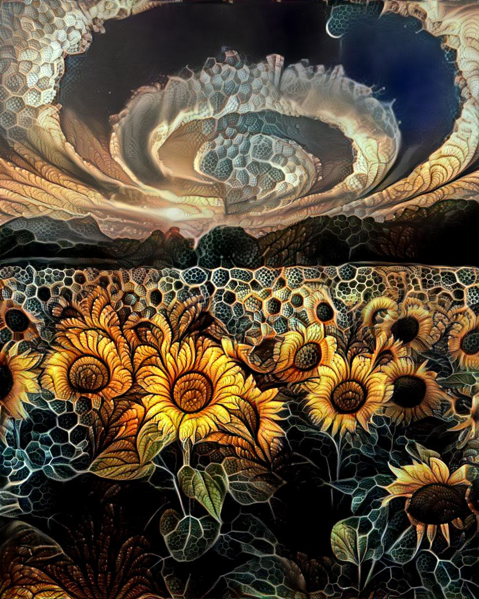 The sunflowers at dusk