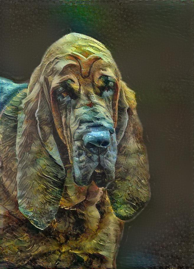 My bloodhound boy Peppino