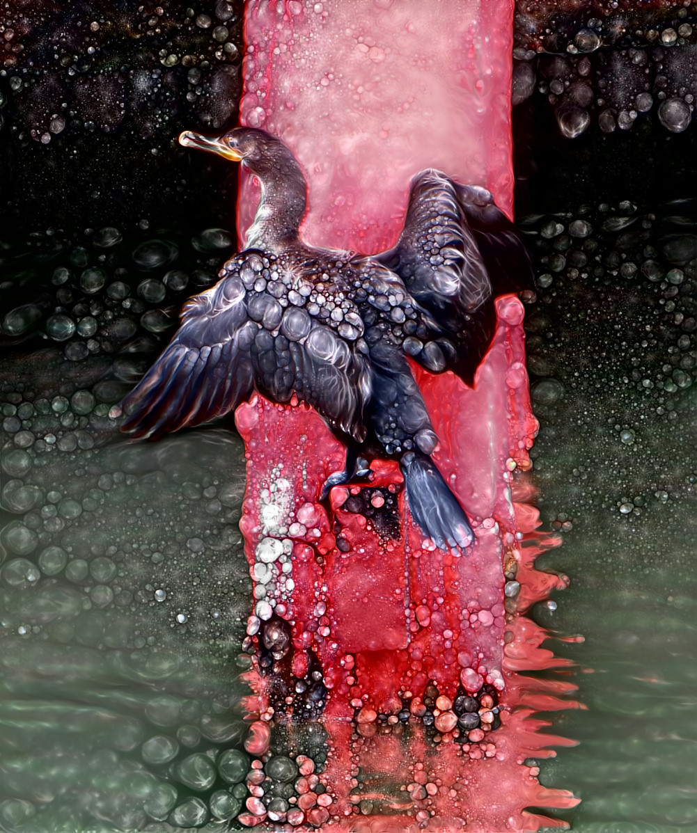 Water Bird - photo Deb Berk