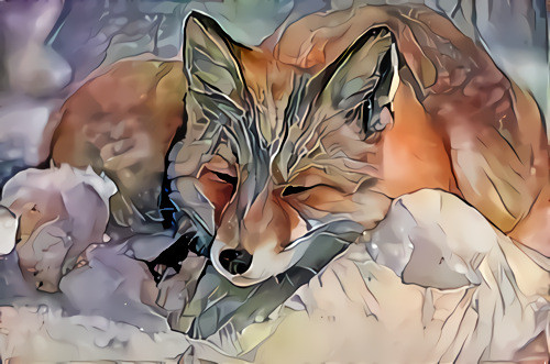The sad fox
