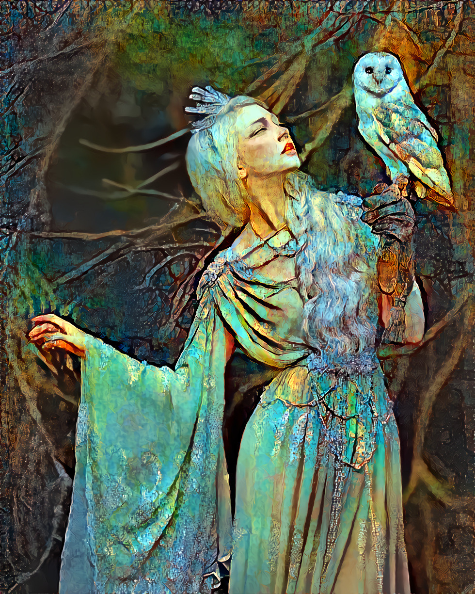 Lady And The Owl