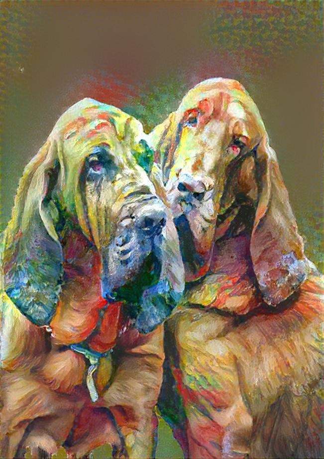 My bloodhounds Peppino & Rufus