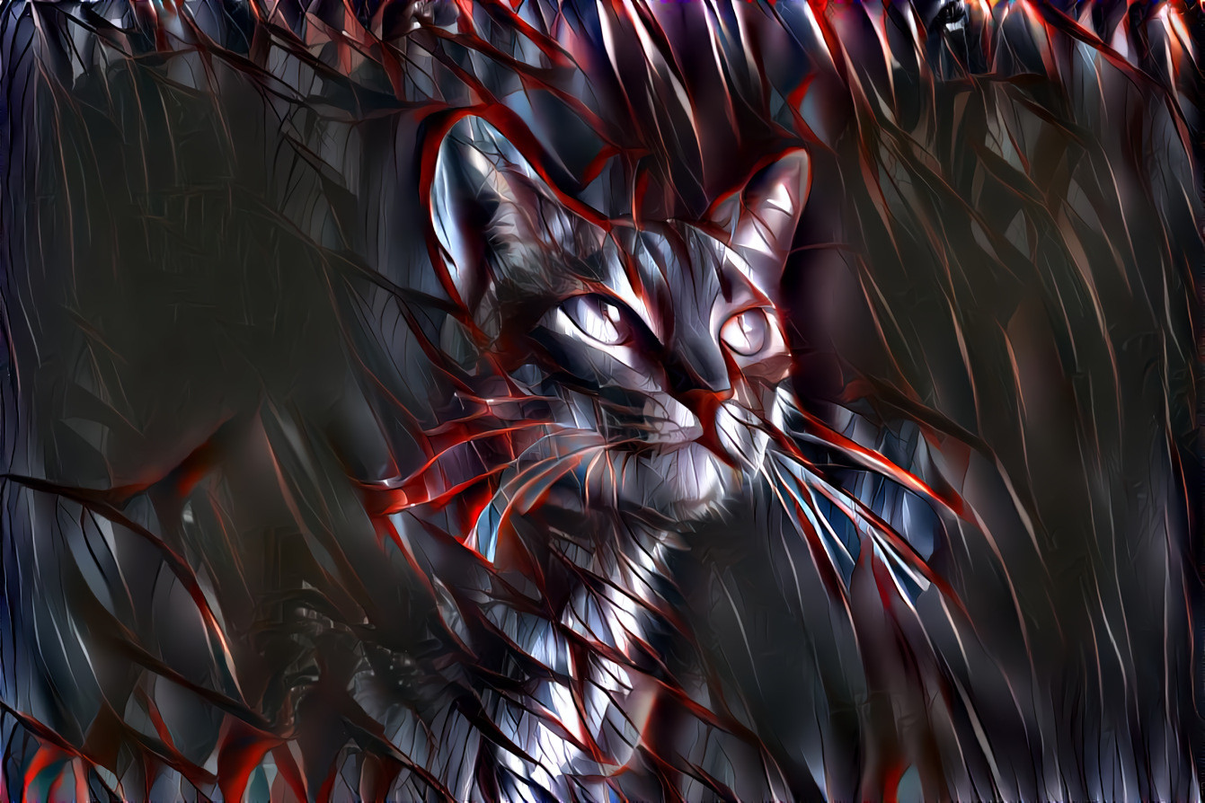 Cat (red edges), for Glenda Popielarski 