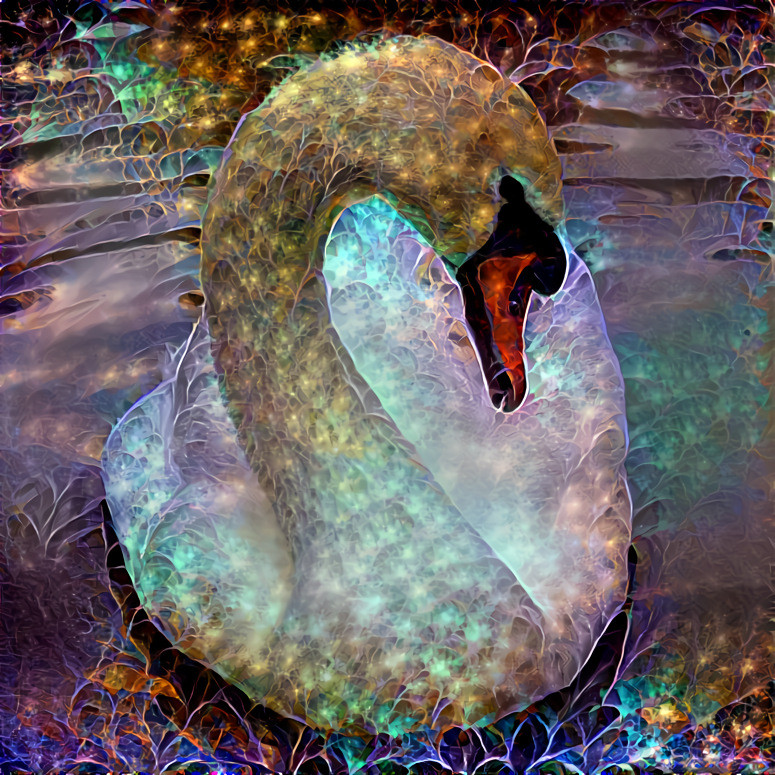 Swan in Saint Stephen's Green (Faiche Stiabhn)