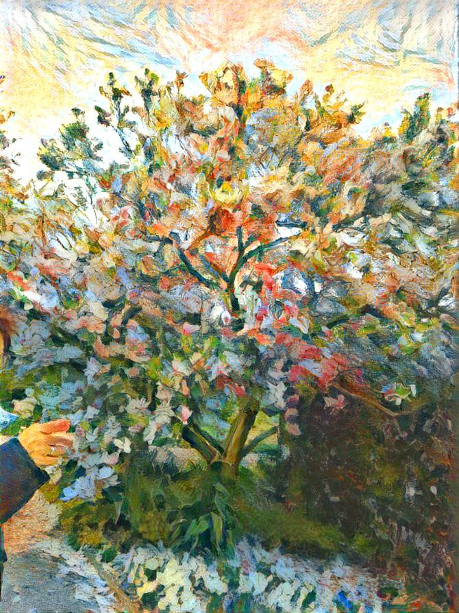 Cherry Tree in Monet style