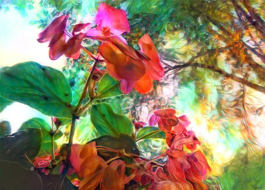 Flowers - Tree - Sky
