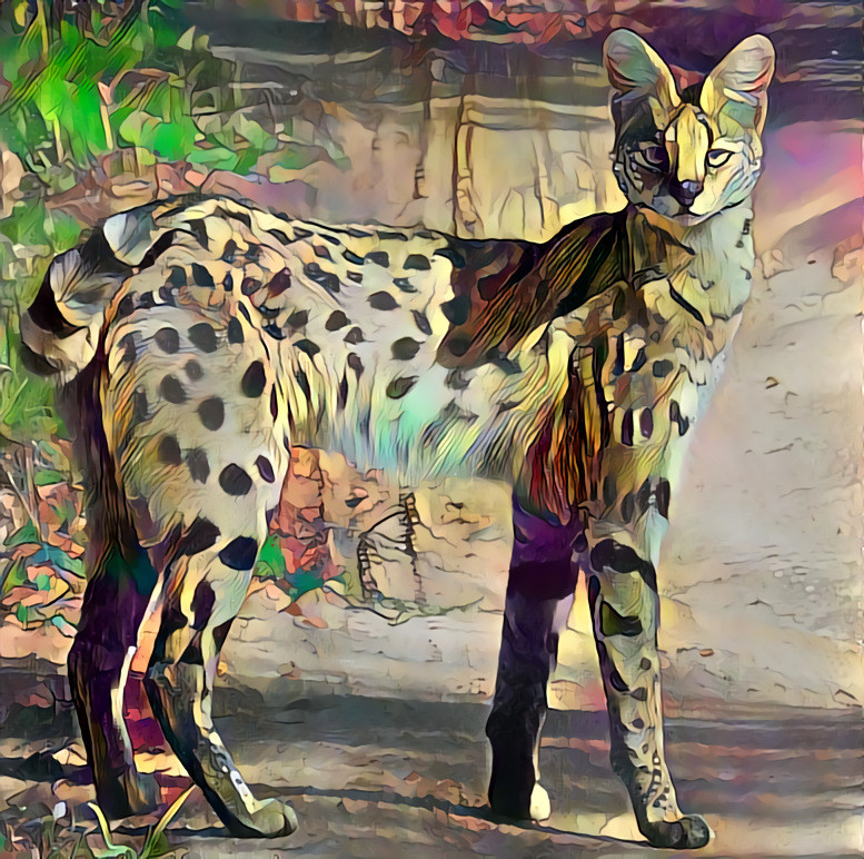 Intelligent Problem Solving Cat ...Serval (About:15 to 40lbs,slender,long legs,large tail and strong body ... can jump, swim,climb,are a curious and crafty species, observed to escape from predators by thinking and rapid movements.https://www.felineworlds.