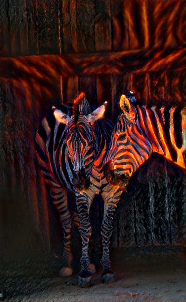 Infrared Zebras