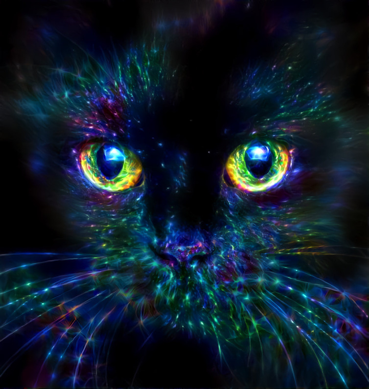Glowing Cat