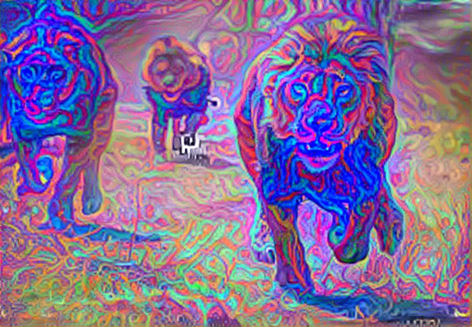 Lions vs TRIPPY IMAGES