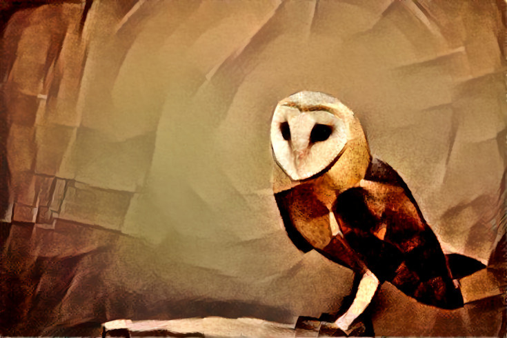 Barn Owl Meditation