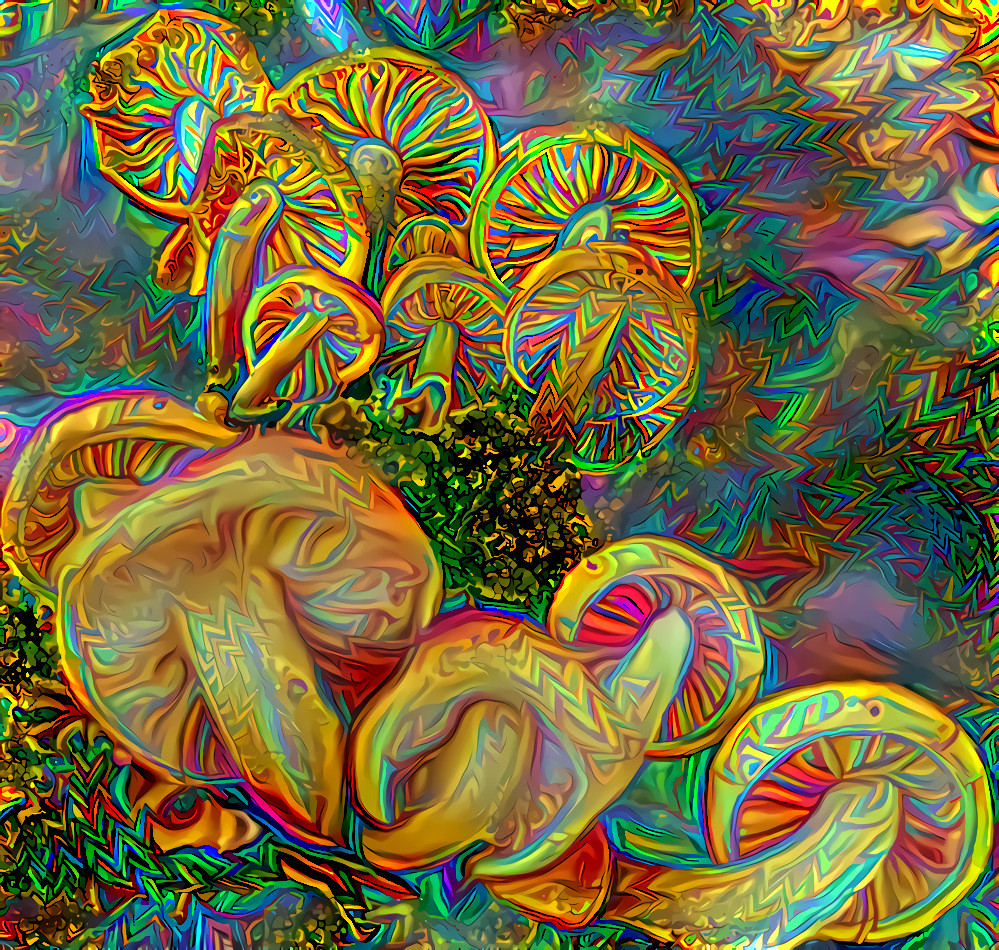Fabulously Freaky Fungi