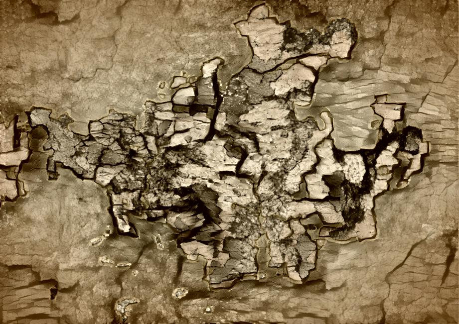 Wildemount Map(Stone)