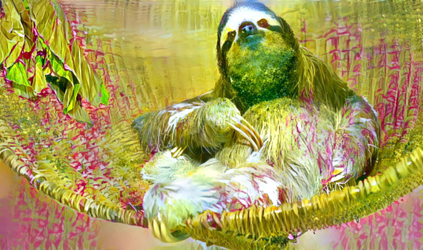 nature sloth