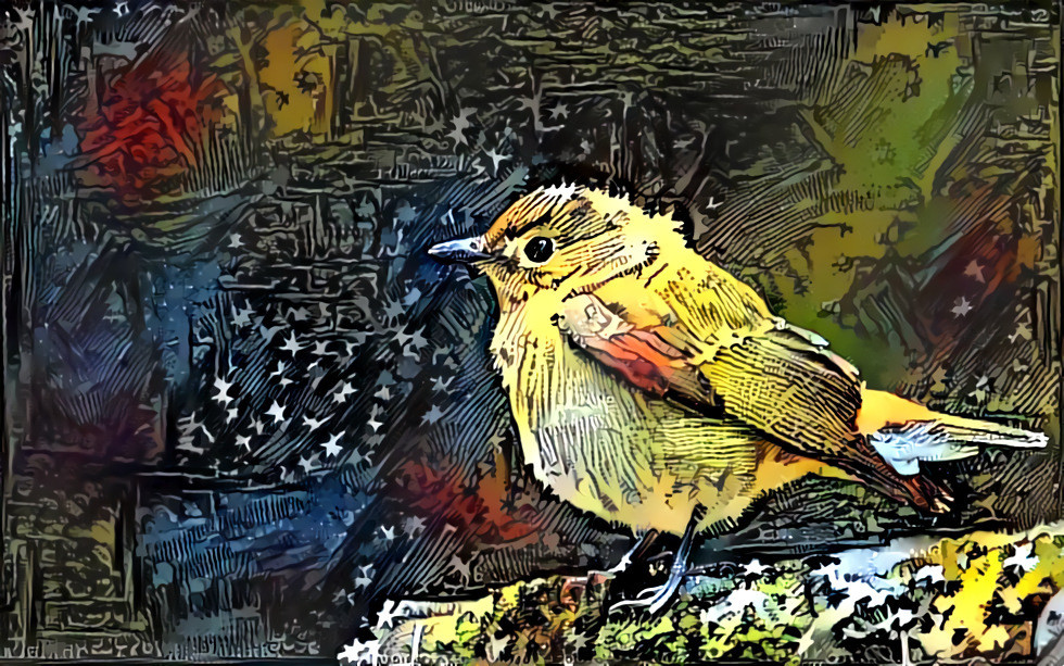 Bird & colored chalcography