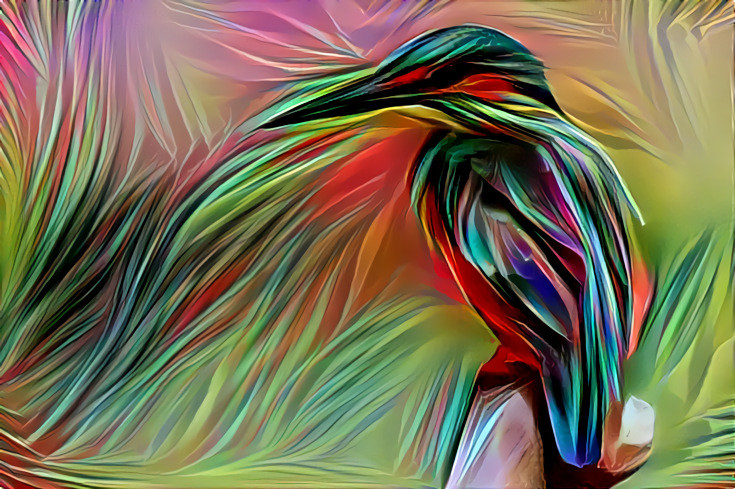 Rainbow Kingfisher