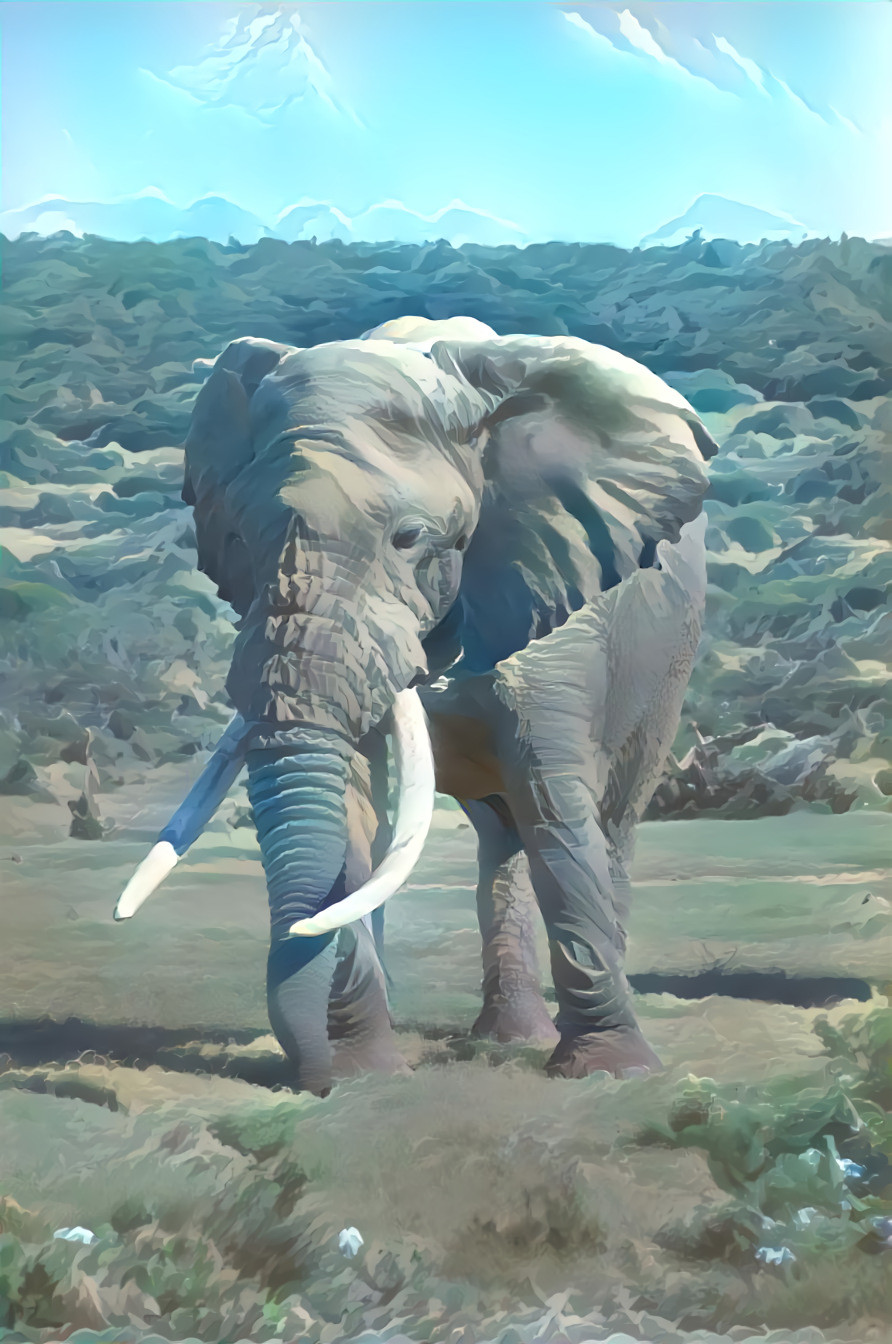 elephant paint