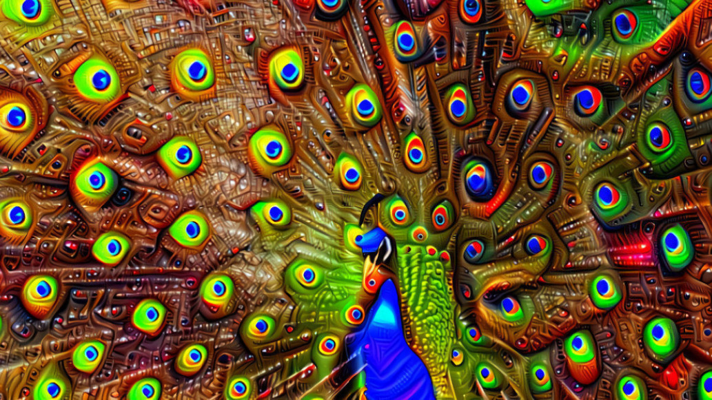 fractal peacock