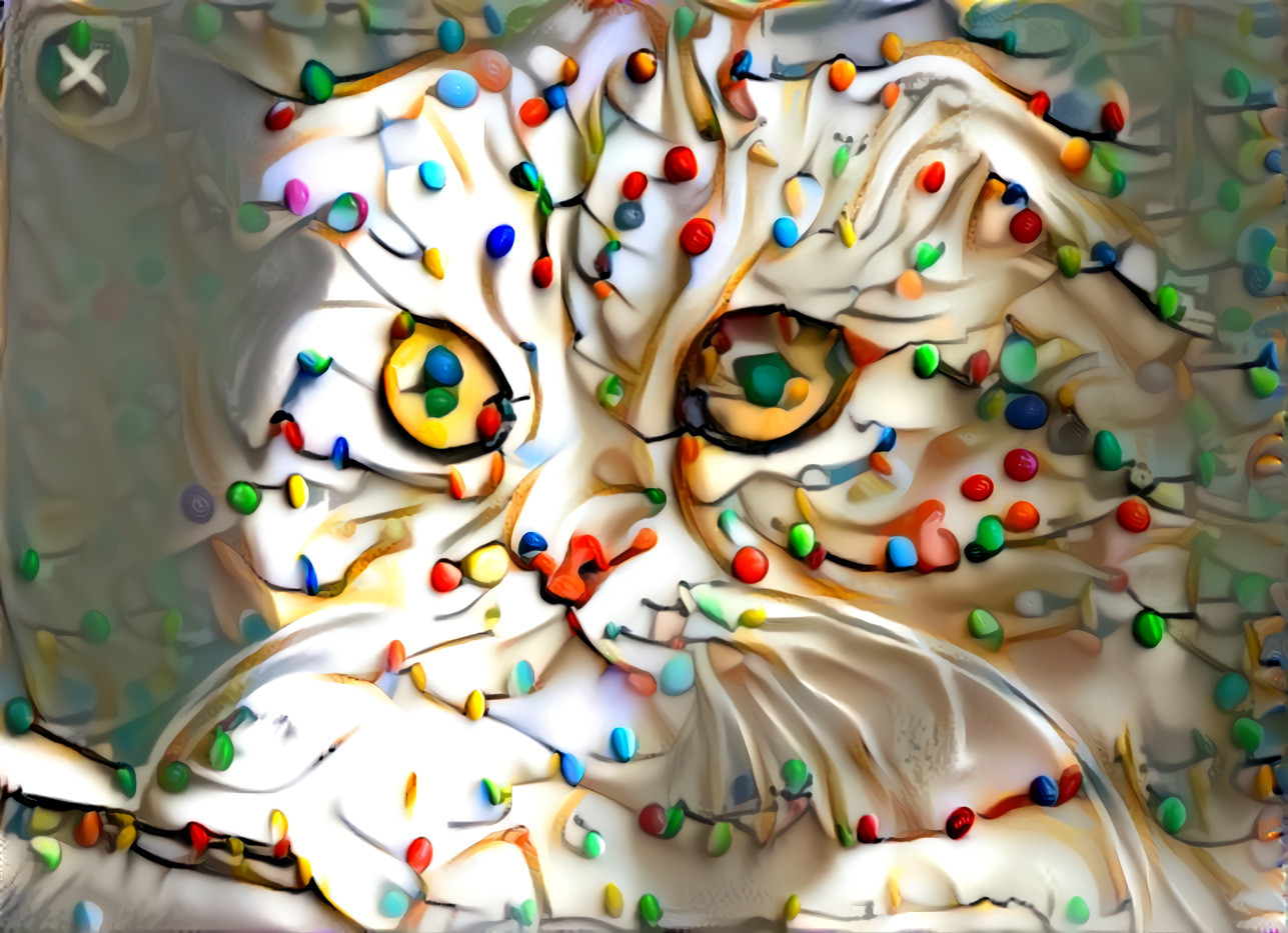 Cookie cat