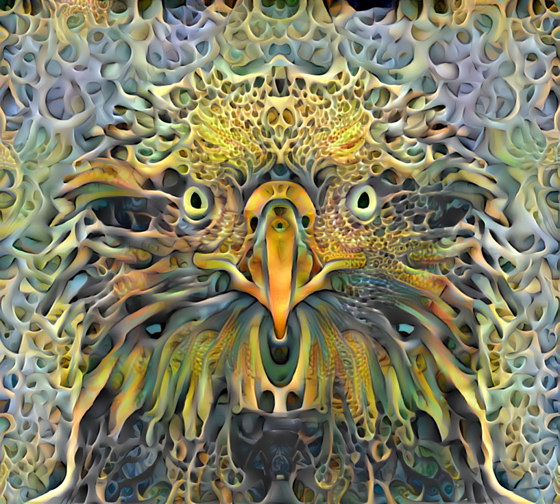 "Mystic eagle" (II/IV) _ sources and styles (edited and processed):  Bird Source Challenge / "Deep Dreamers" - group on Facebook _ (190724)