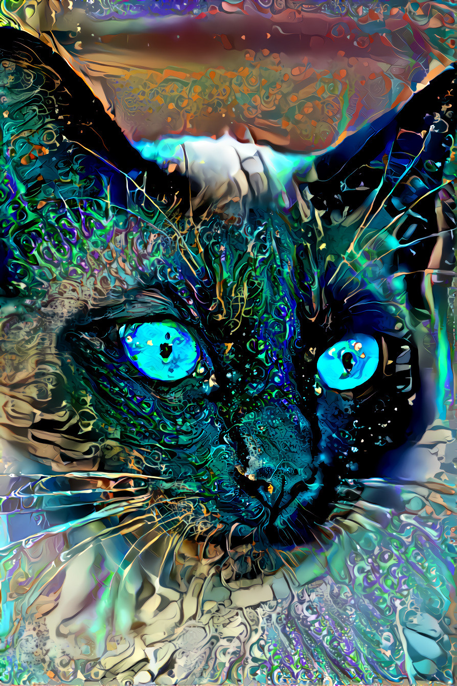Siamese Kitty (Image by Andreas Lischka from Pixabay)