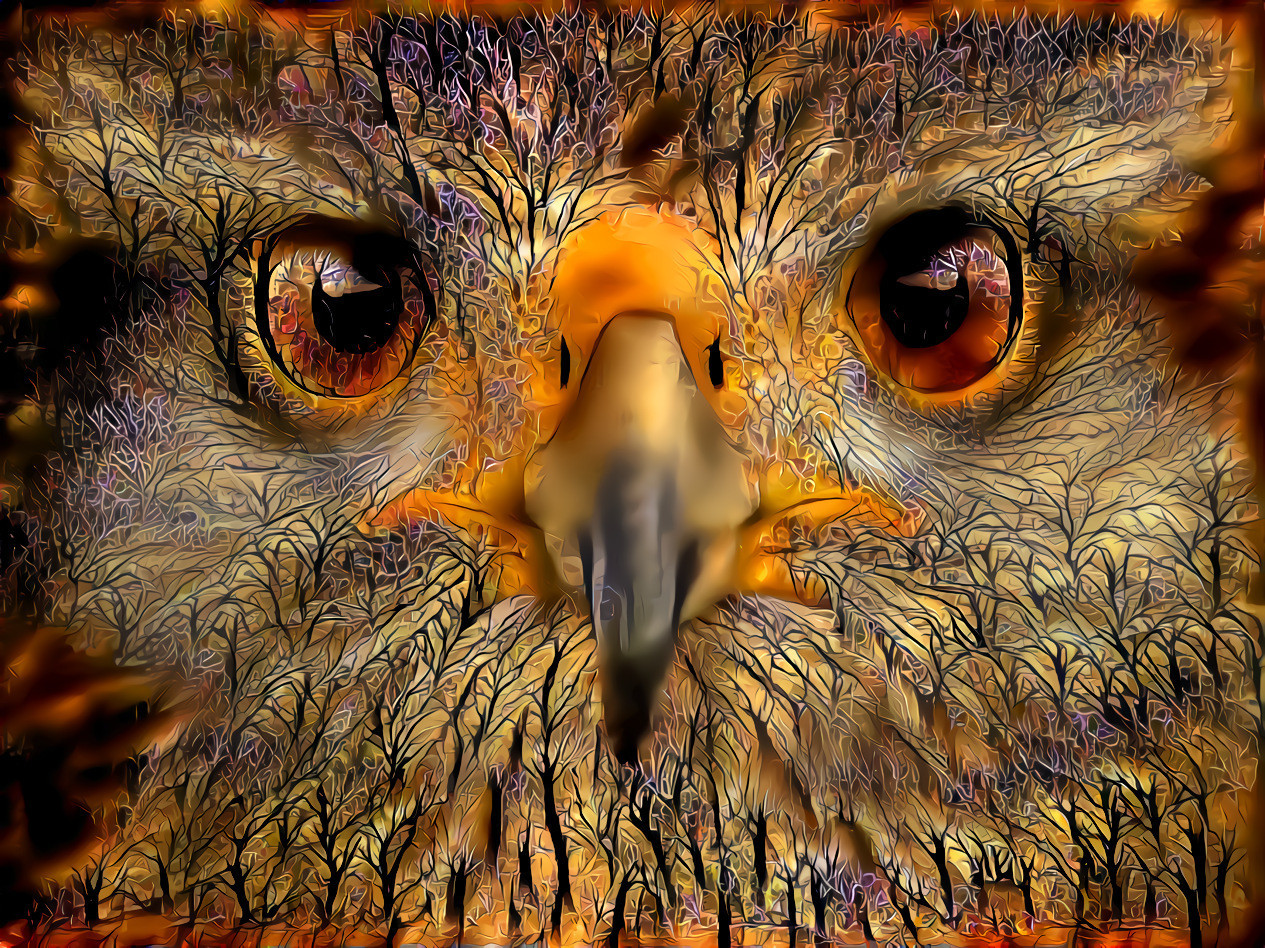 The hawk's cry is as sharp as its beak  ~ Edward Abbey \ Style introduced by ~Tamara~