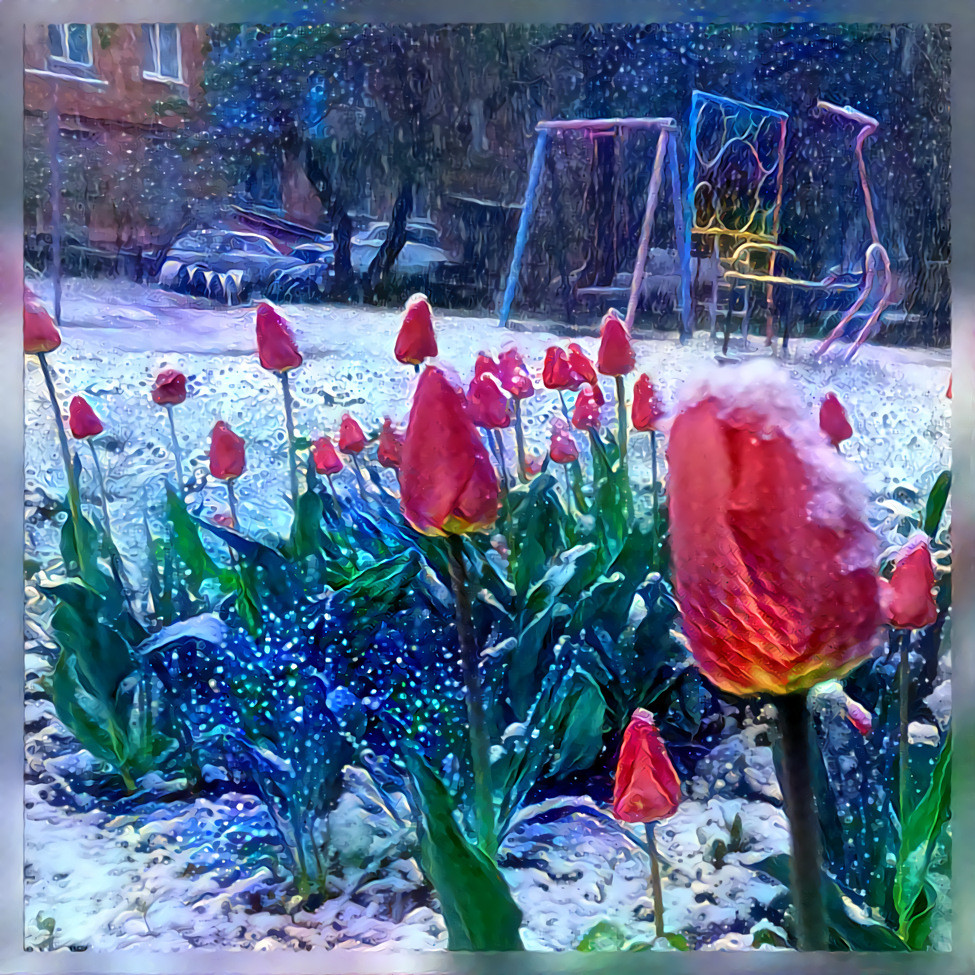 It seems Spring decided to isolate herself... /Source : Flowerbed in my hometown