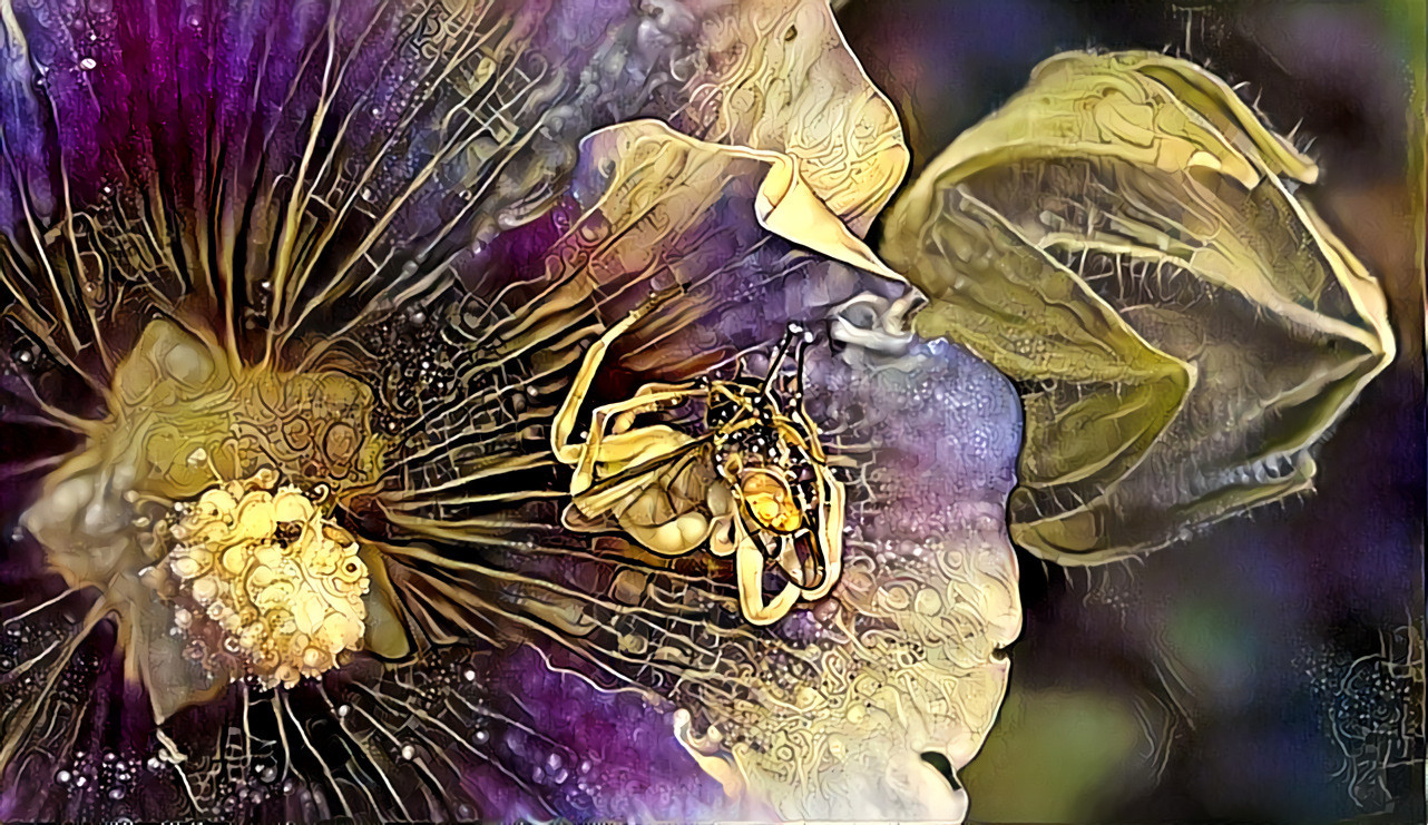 A spider in the flower of a Hollyhock