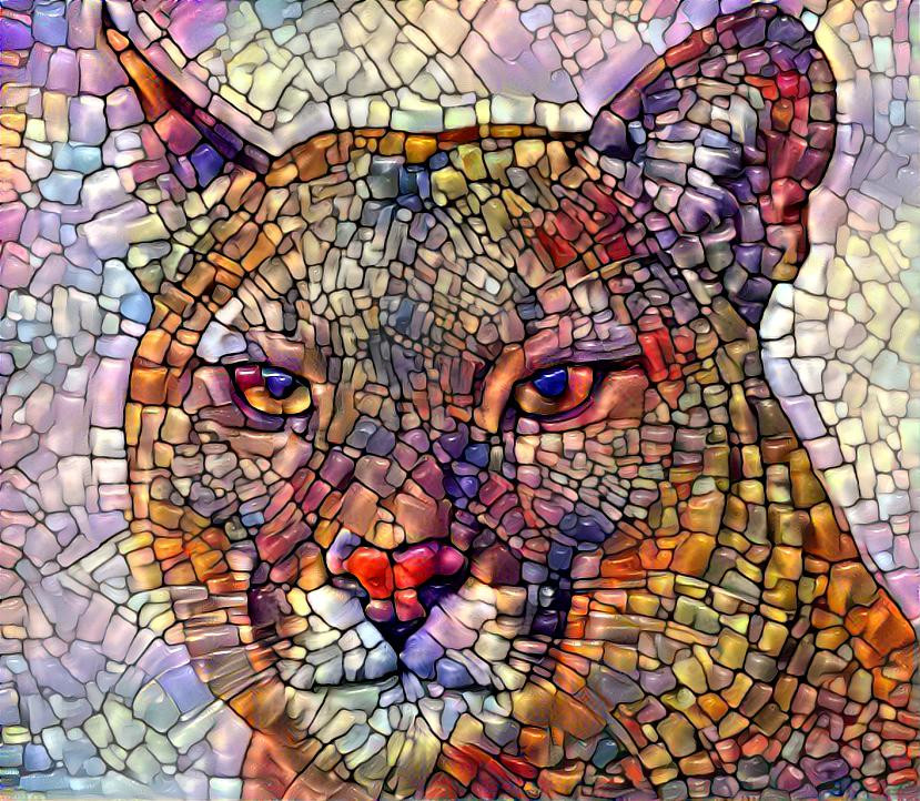 Mosaical Puma