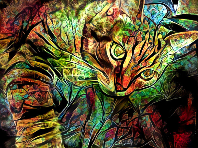Acid Kitty