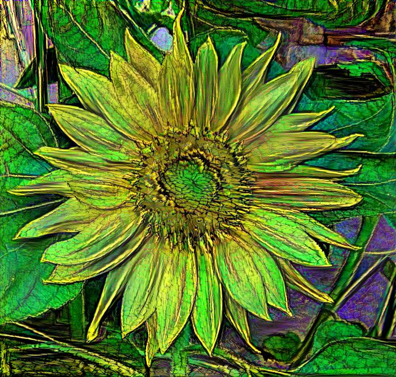 Wild Glass Challenge Sunflower