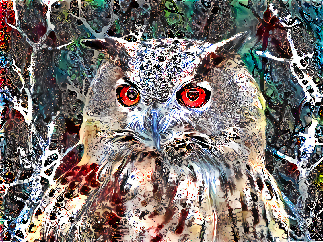 Challenge owl acrylic 9 60_60