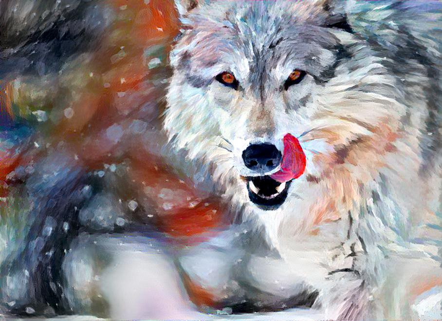 ~ Wolf, Untitled ~