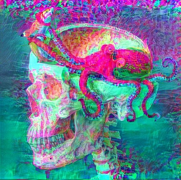 Octopus on the brain