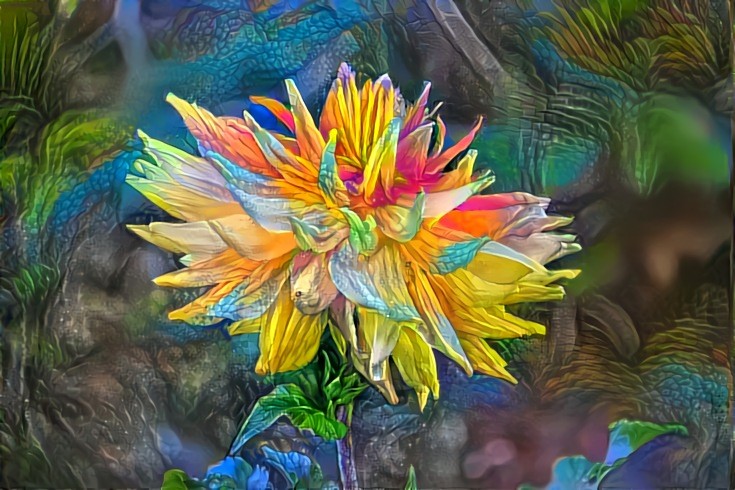 DDG Alaskan Flower