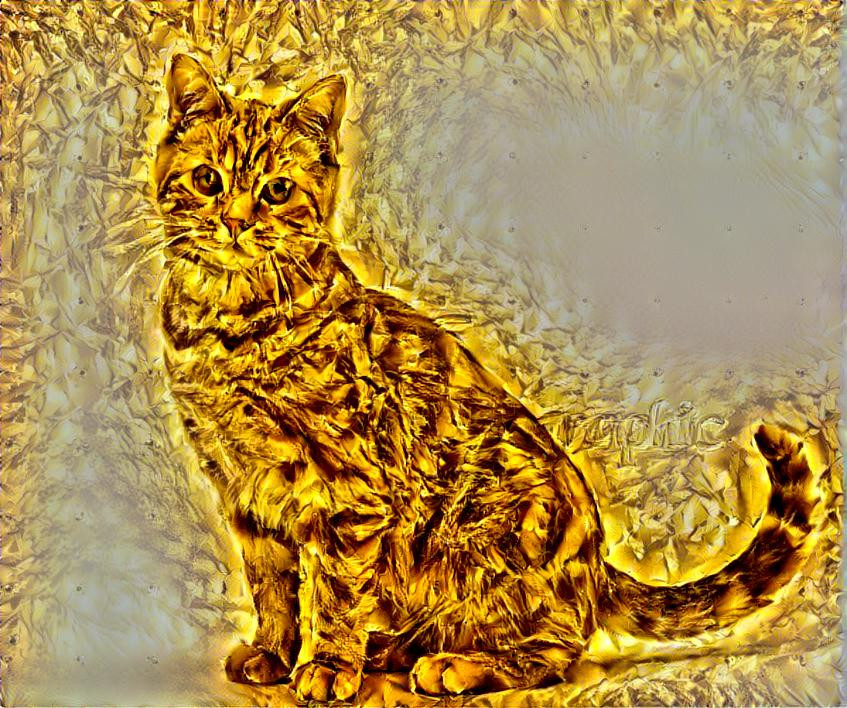 Feline's Golden Glow