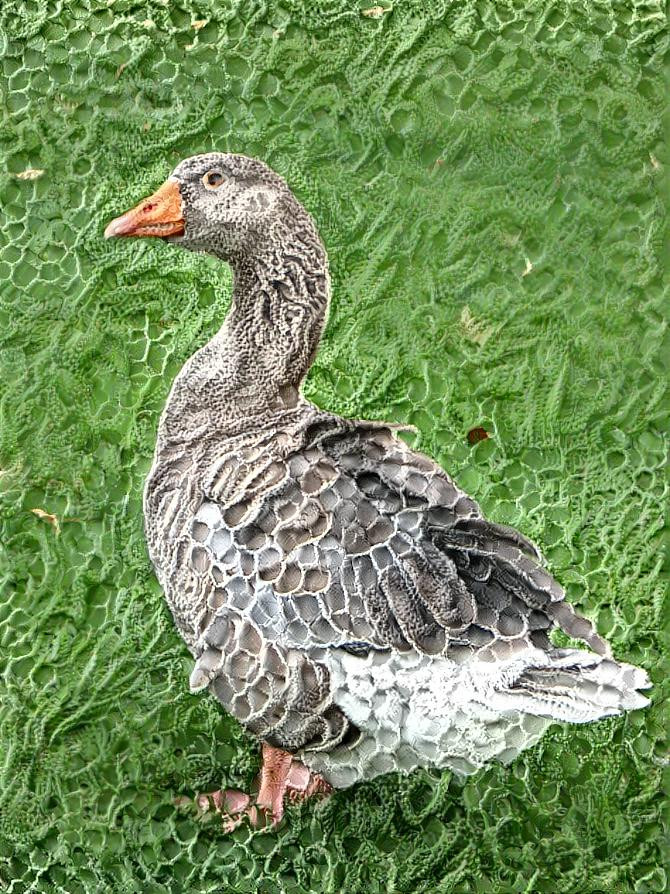 Crochet Goose