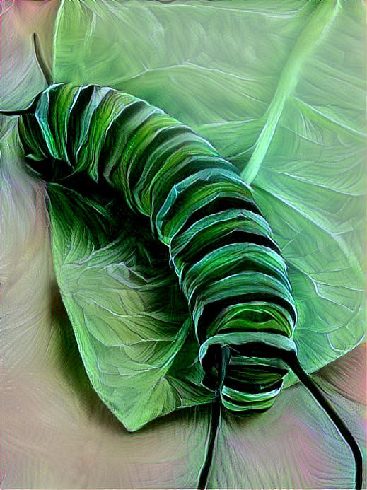 Beverly Caterpillar