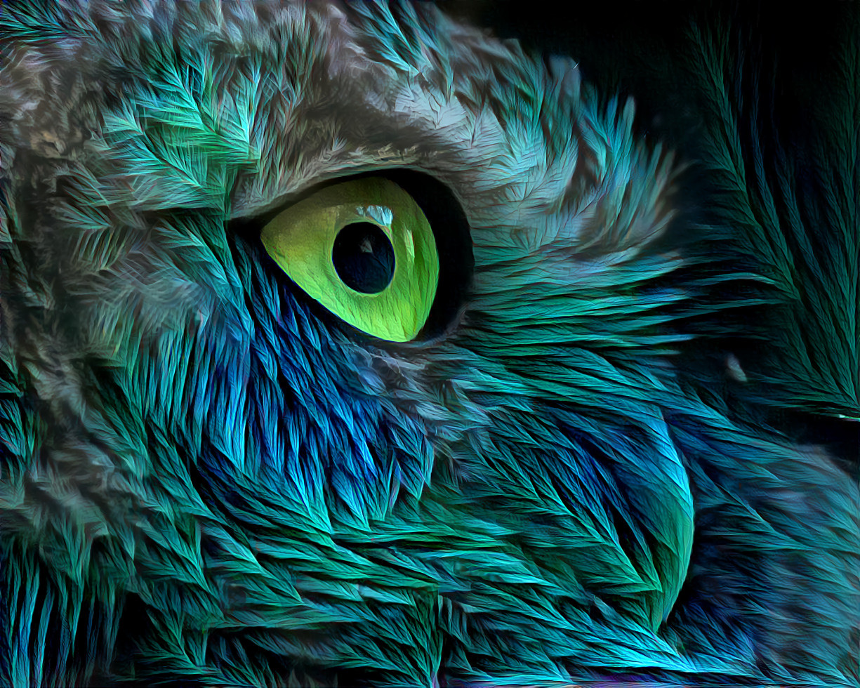 Baby Blue Owl