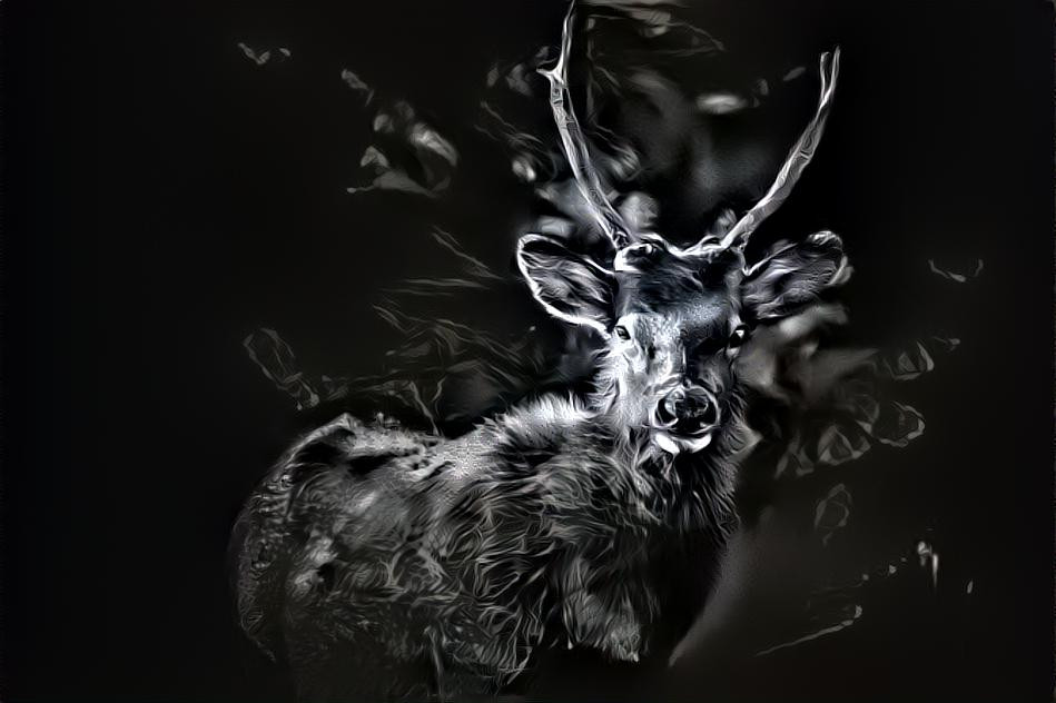 ghostly elk