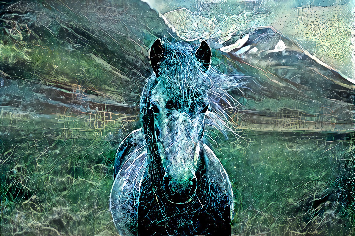 Ranging Horse in Iceland. Photo by Oscar Nilsson on Unsplash.