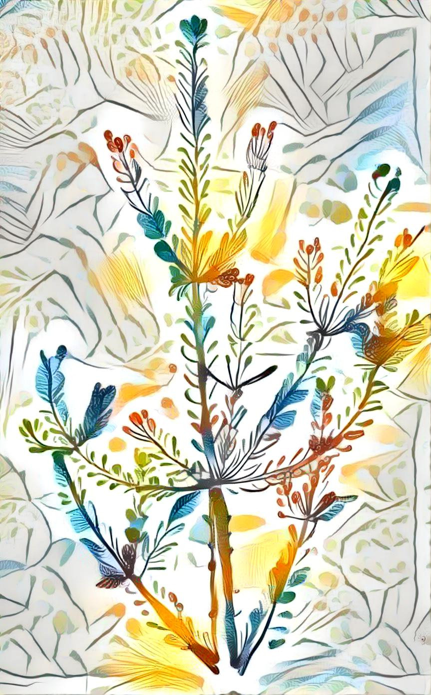 watercolor pine