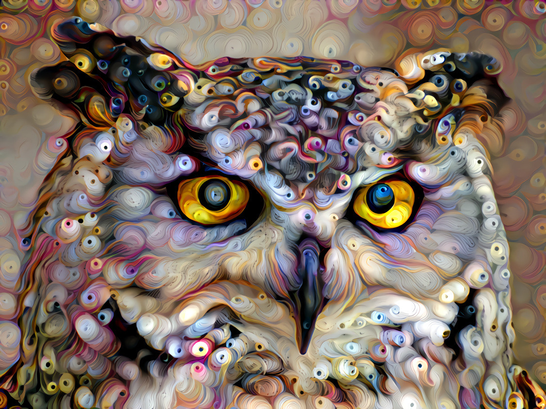 Owlookatme (filter: Hadieh Shafie, a seriously incredible artist, photo: Rubin Marques - unsplash) •