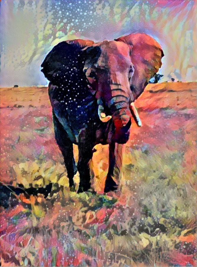 Elephant on the Mara