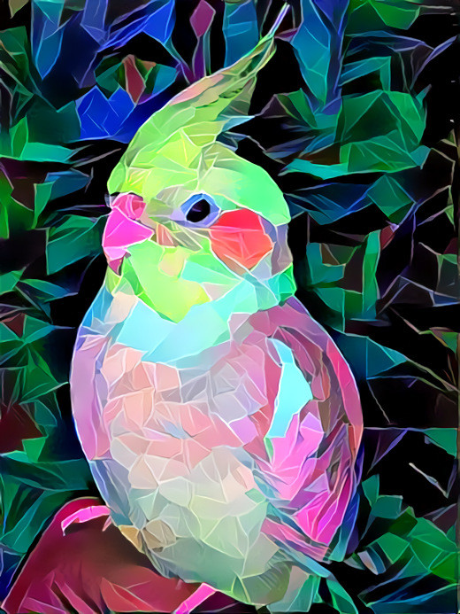 Flowered Bird