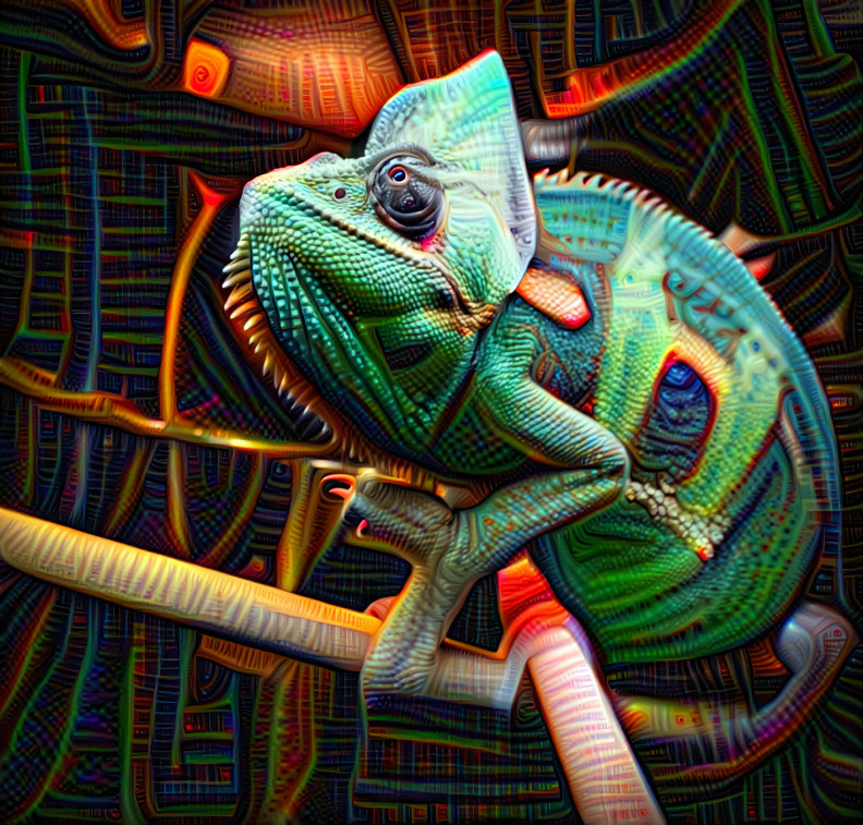 Psychedelic Chameleon
