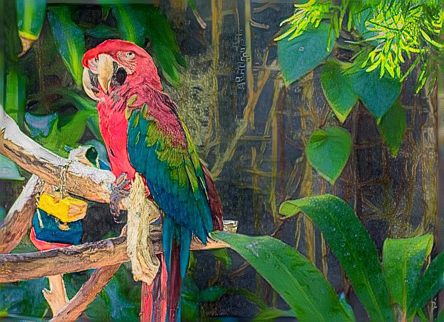 Parrot in jungle