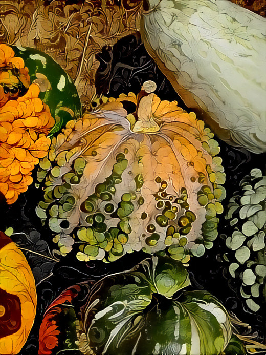 Pumpkins - photographer D Berk