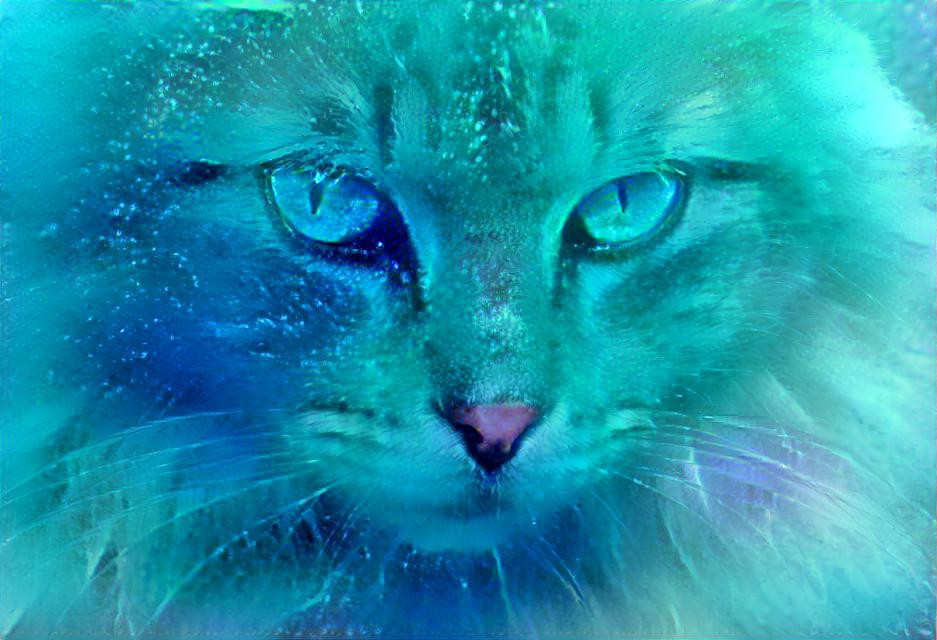 Turquoise cat