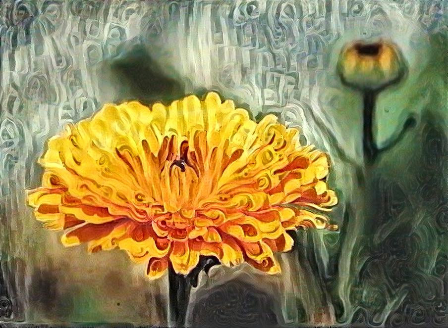 Yellow Flower & Emerging Bloom